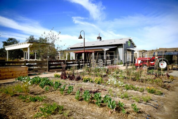 Esencia Farm - Rancho Mission Viejo